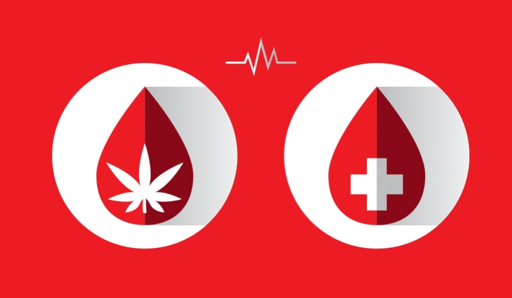 Donating Blood As A Cannabis User