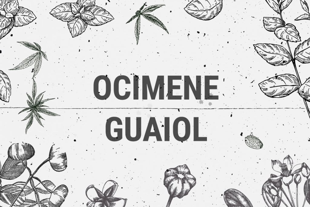 Cannabis Terpenes: Ocimene And Guaiol