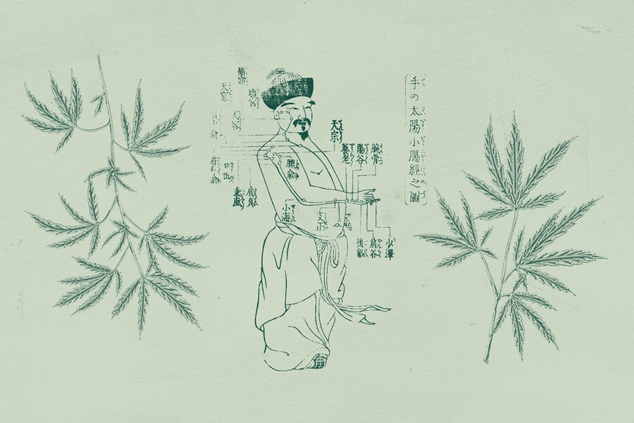 The Use Of Cannabis In Traditional Chinese Medicine 