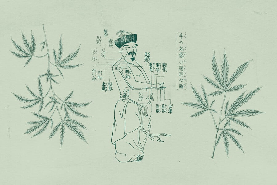 The Use of Cannabis In Traditional Chinese Medicine