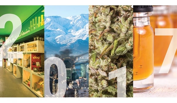 2017, A Year In Weed