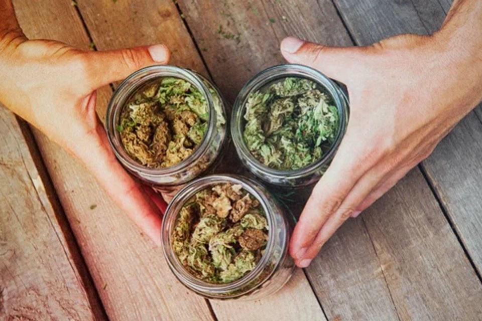 How Should You Mix Different Cannabis Strains Together?