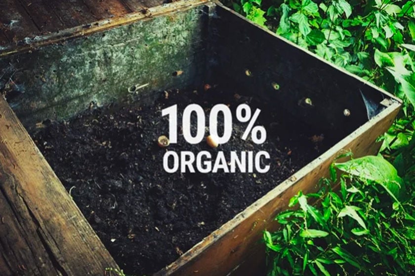 Homemade Organic Fertilizers