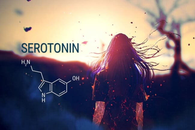 CBD, Serotonin, and Anxiety 