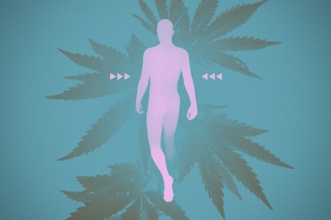 Endocannabinoid Deficiency: Causes and Solutions