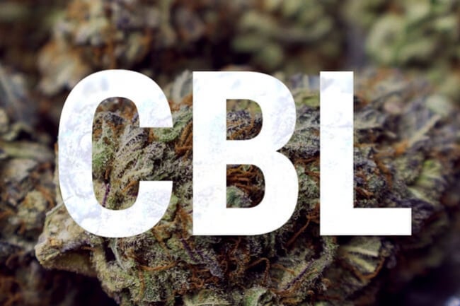 Cannabicyclol: Understanding Cannabinoid Basics