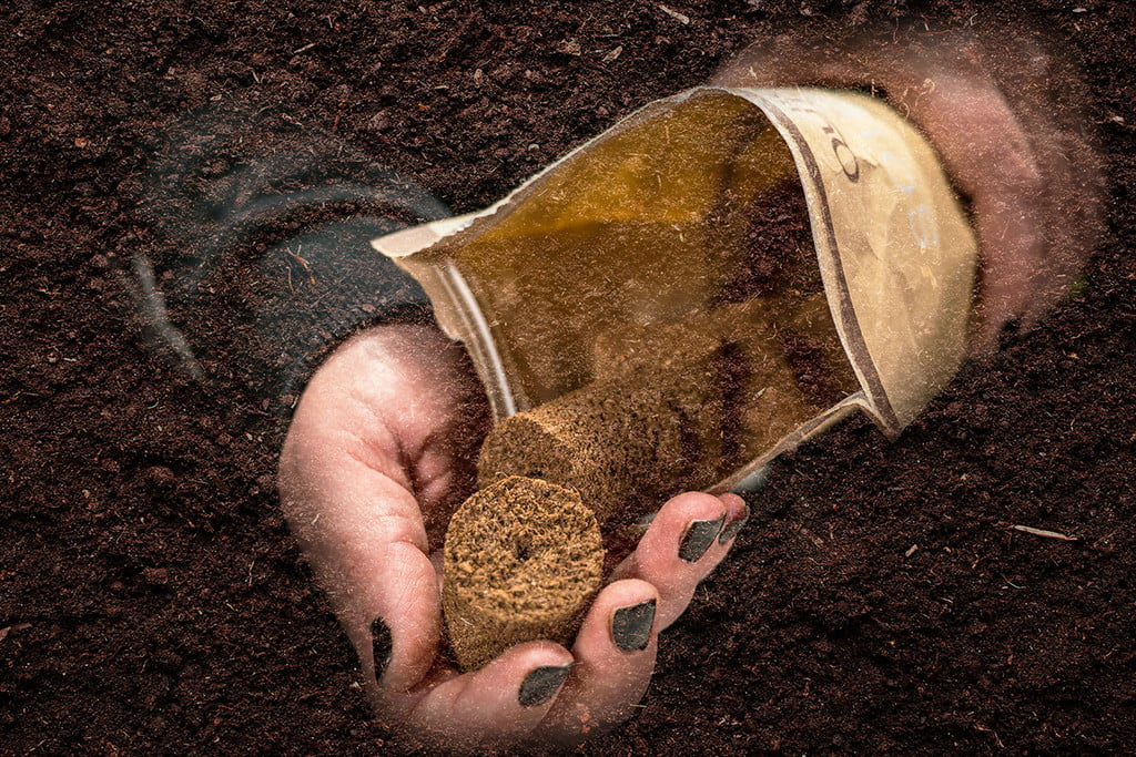 Choosing The Best Soil For Cannabis: A Home Grower's Guide