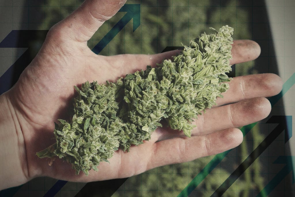 16 Ways To Increase Your Cannabis Yields