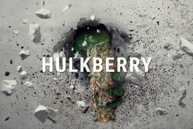 HulkBerry: The Kush With The Sativa Alter-Ego