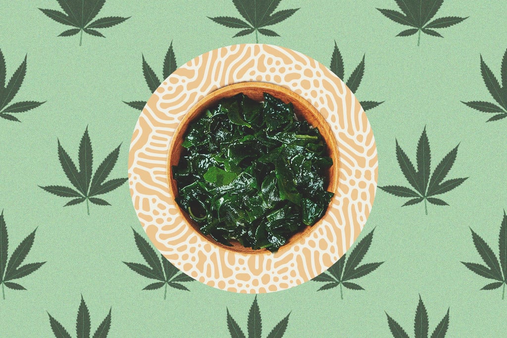 Why Seaweed Is A Superfood For Cannabis Plants