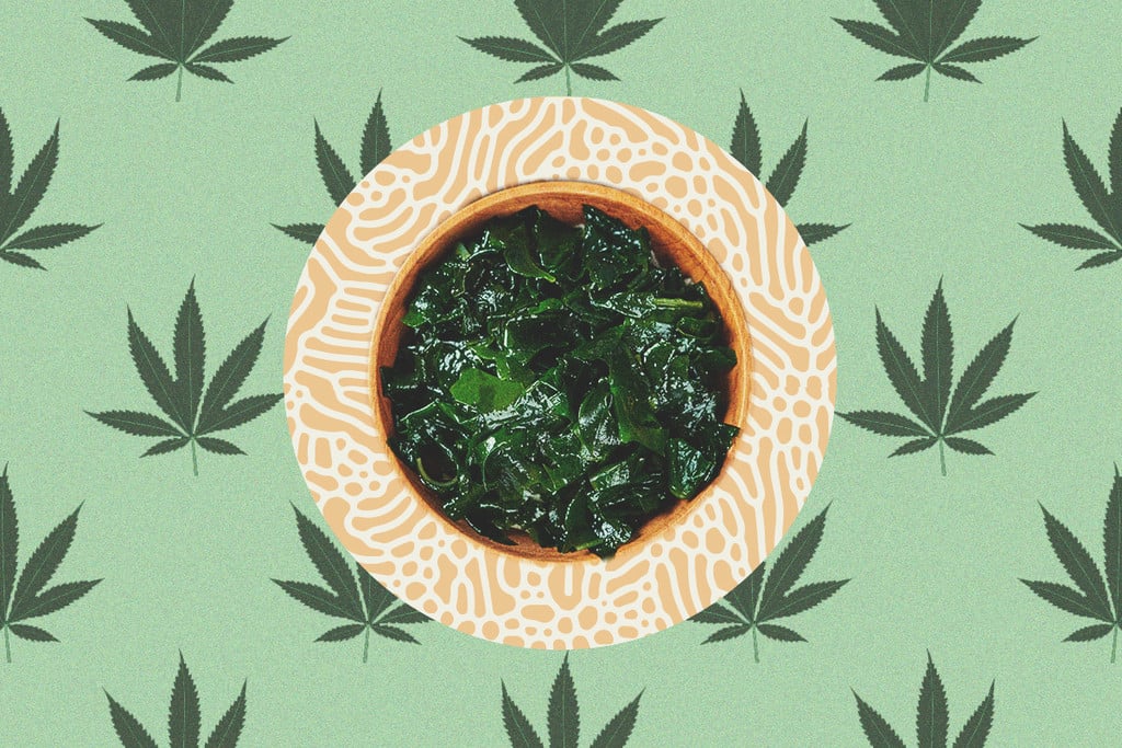 Why Seaweed Is a Superfood for Cannabis Plants