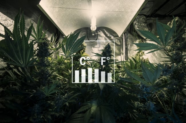 Keeping Temperatures Down In Summer For Your Indoor Grow