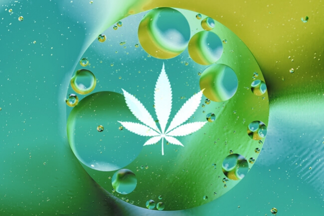 Dissolved Oxygen: The Key to Thriving Hydroponic Weed Plants