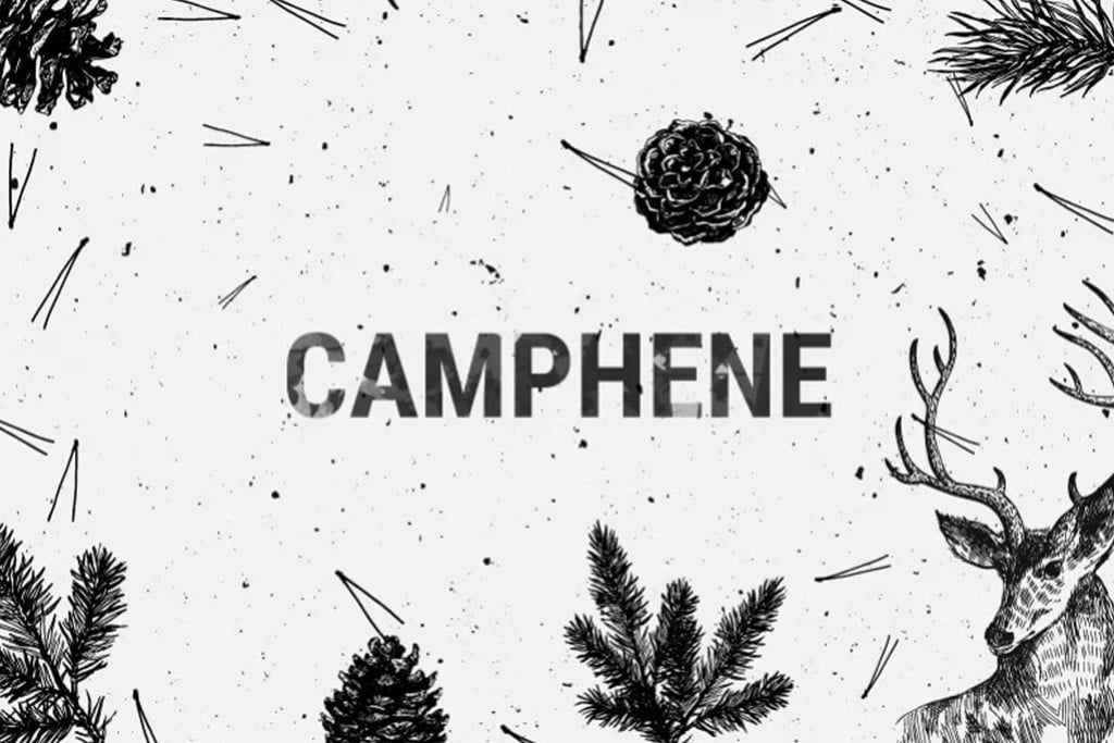 Camphene - A Minor Terpene With Big Medicinal Potential
