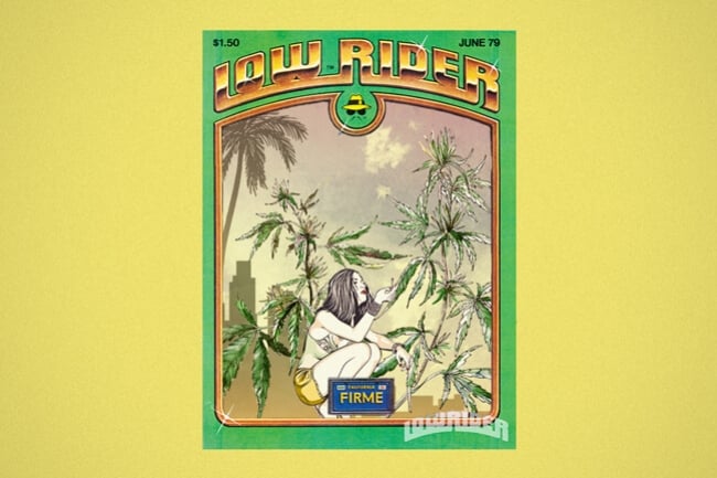 Lowryder: The First True Autoflowering World-Star Weed