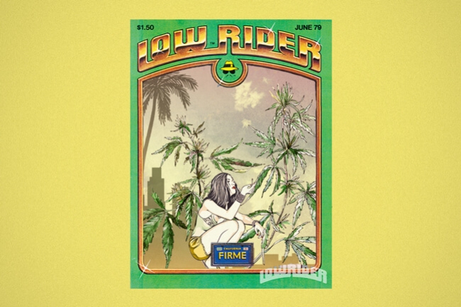 Lowryder Strain: The First True Autoflowering World-Star Weed