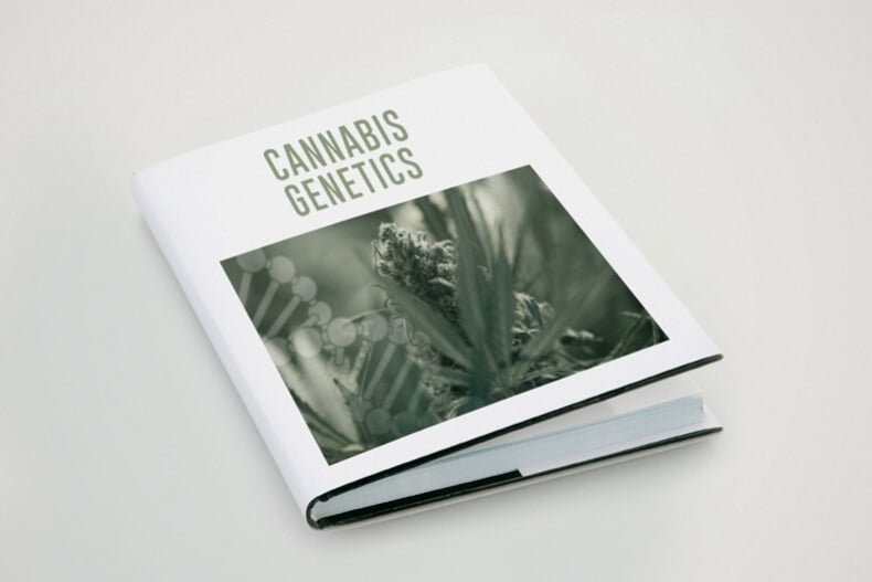 Understanding Cannabis Genetics Terminology