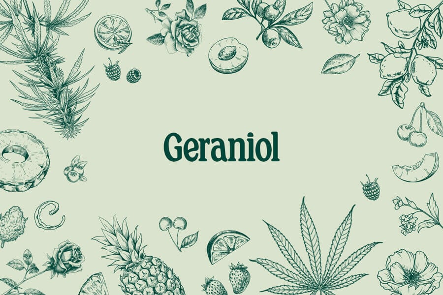 Geraniol: A Sweet, Floral Terpene With Plenty of Potential