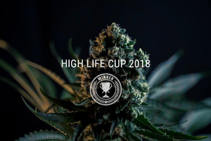 Royal Queen Seeds Wins Big At Highlife Cup 2018