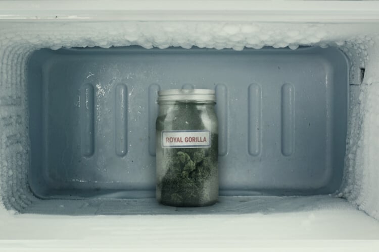 cannabis storage