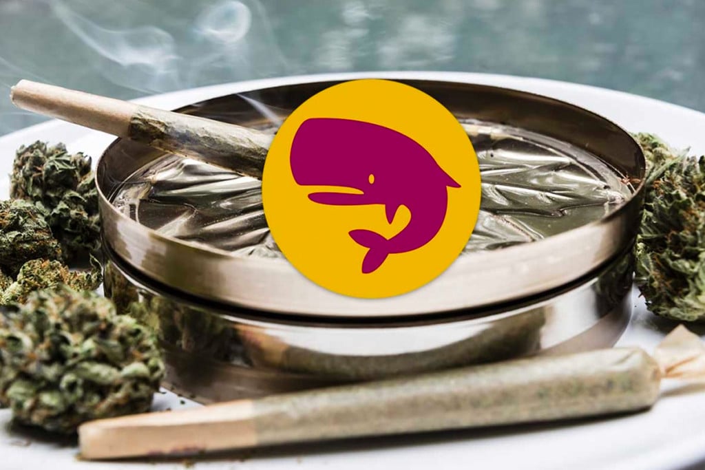 Royal Moby Strain Smoke Report
