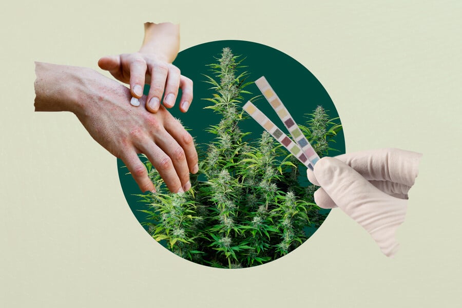 Will Cannabis Topicals Make You Fail a Drug Test? - RQS Blog