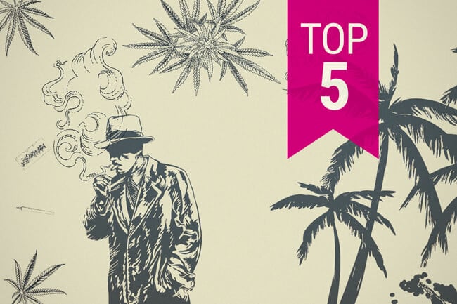 Top 5 OG Kush Hybrids from Royal Queen Seeds