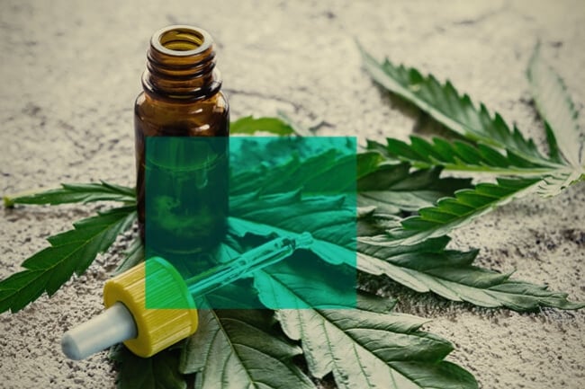 CBD Tinctures: What You Need to Know & How to Make Your Own