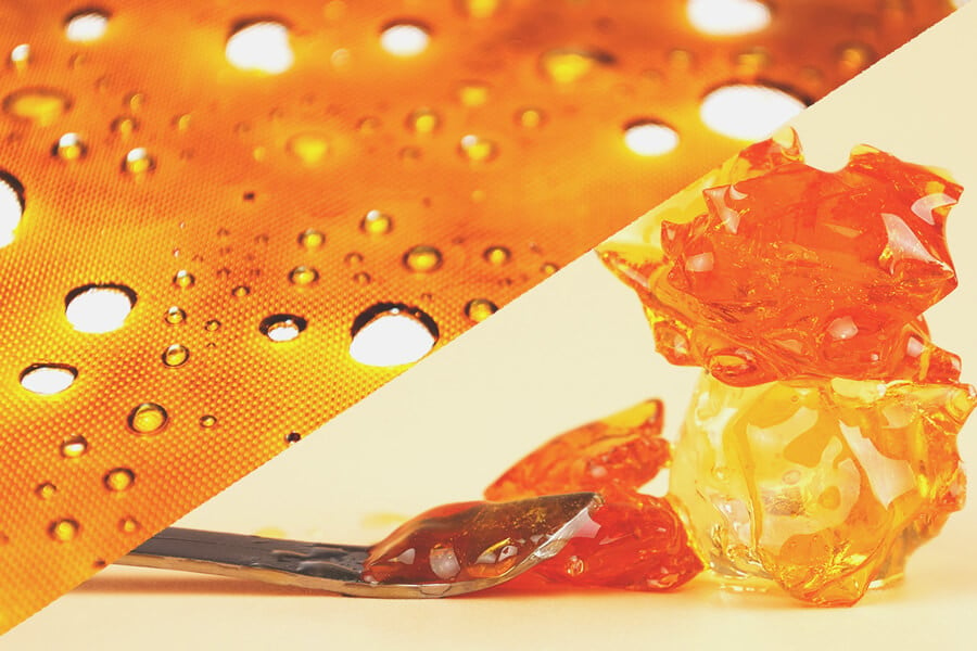 A Closer Look At Solvent And Solventless Cannabis Concentrates