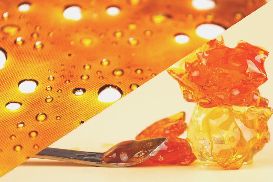 Solvent vs Solventless Cannabis Concentrates