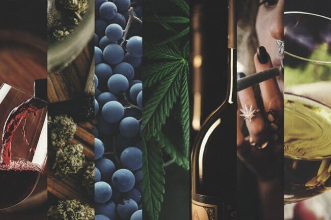 The Rise Of Cannabis And What It Means For Alcohol Industry