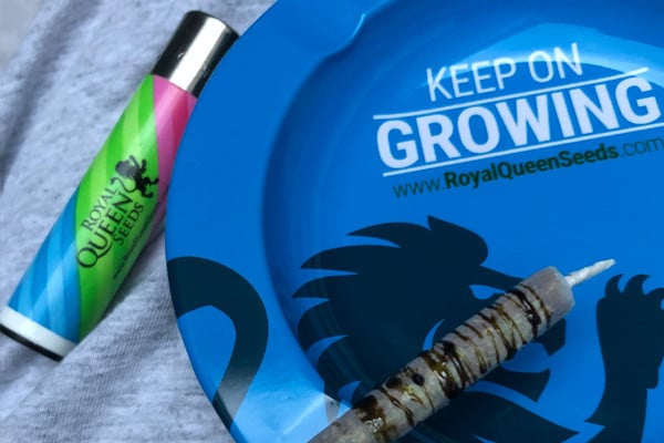 Royal Queen Seeds Ashtray