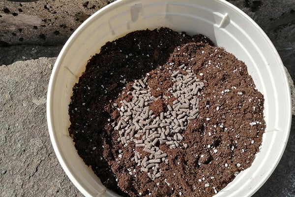 Easy Boost Organic Nutrition