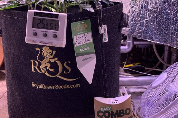 RQS Geotextile Grow Bag