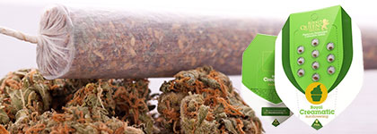 Royal Creamatic Smoke Report