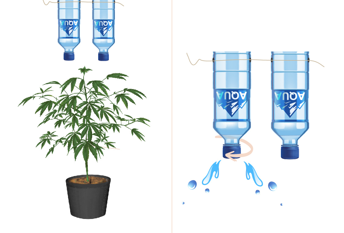 Building Your Own DIY Drip Irrigation System for Growing Cannabis