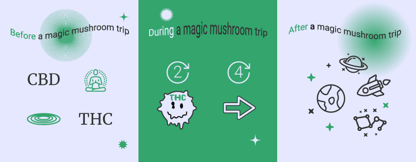How to Use Cannabis and Magic Mushrooms Together