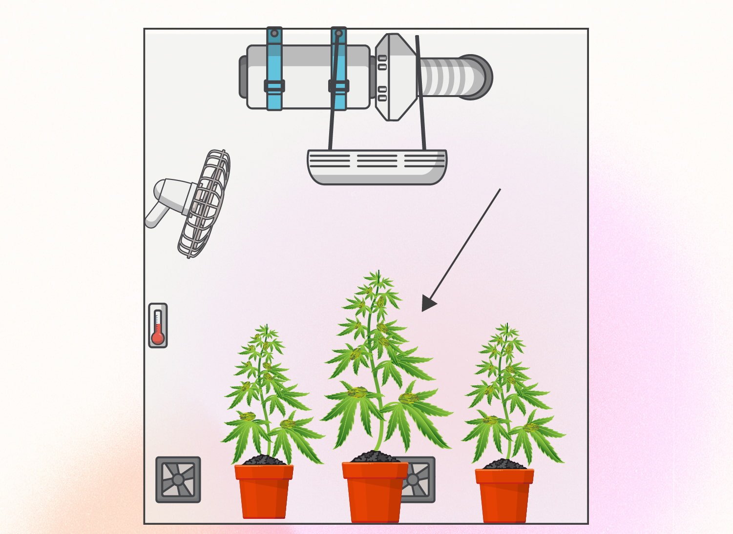 Monster Cropping Cannabis: Step-By-Step Guide