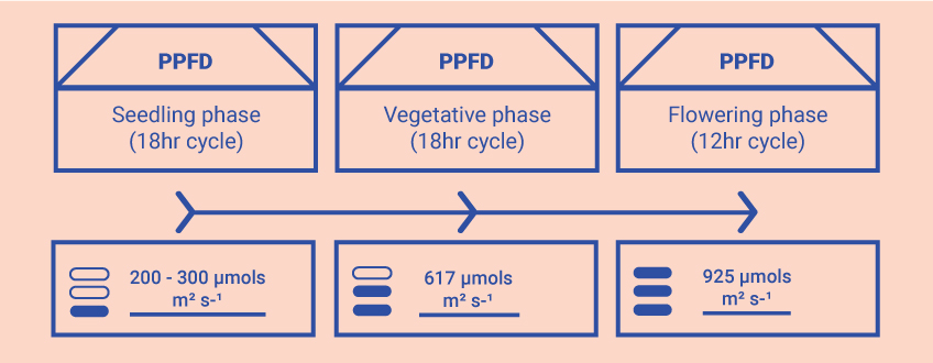 Optimising Your Knowledge in the Grow Room Optimising Your Knowledge in the Grow Room