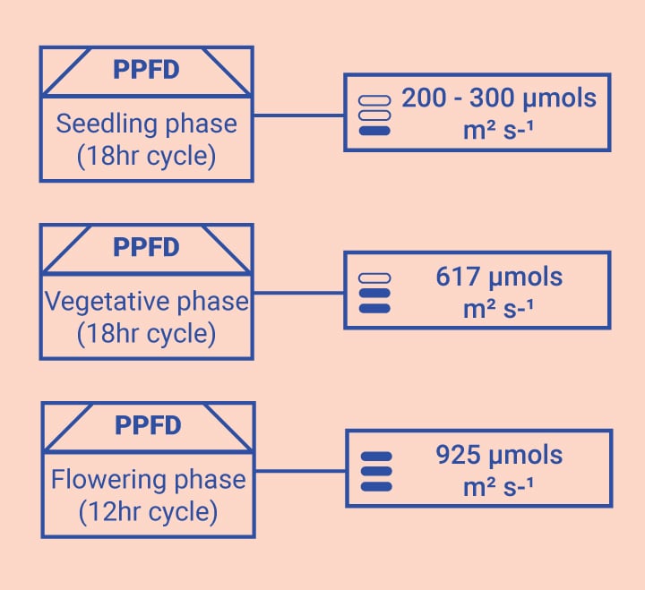 Optimising Your Knowledge in the Grow Room