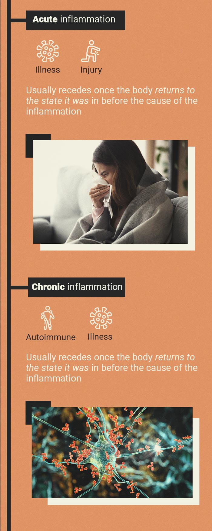 What Is Inflammation?