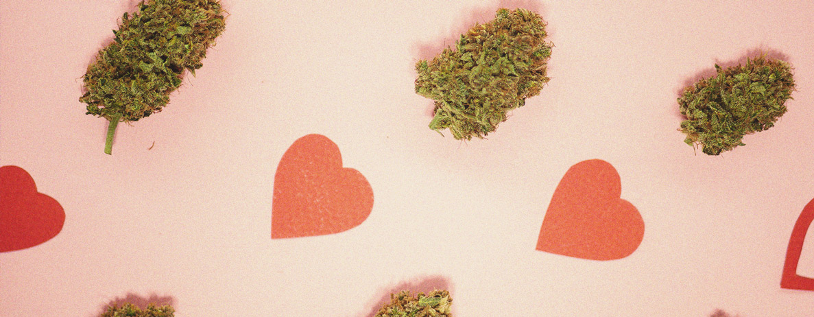 Cannabis Tolerance Breaks: The Ultimate Guide Cannabis Tolerance Breaks: The Ultimate Guide