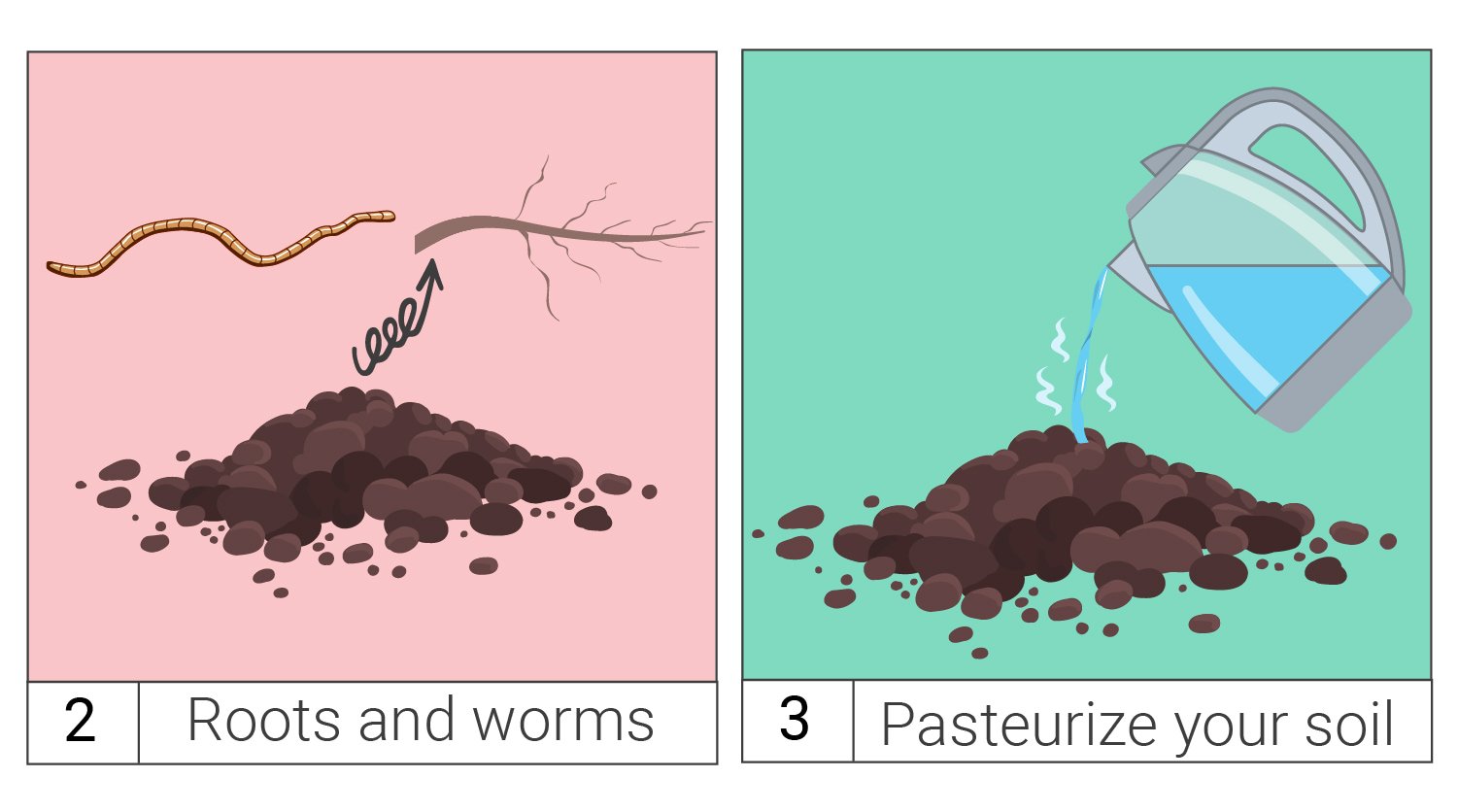 How To Save Money By Reusing Old Soil