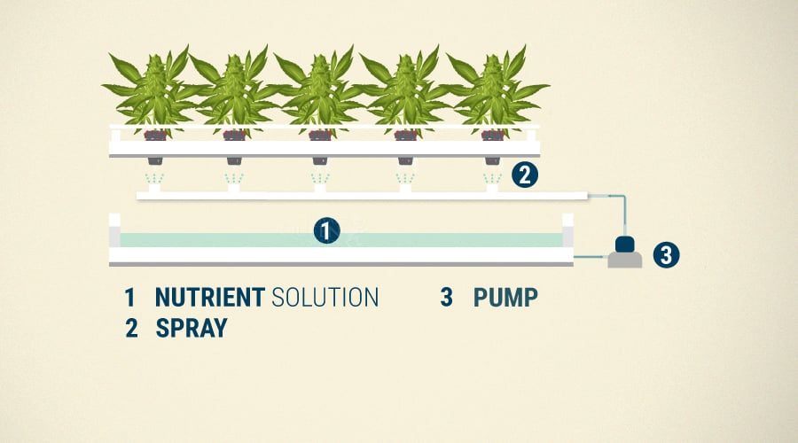 Aeroponics System Aeroponics System