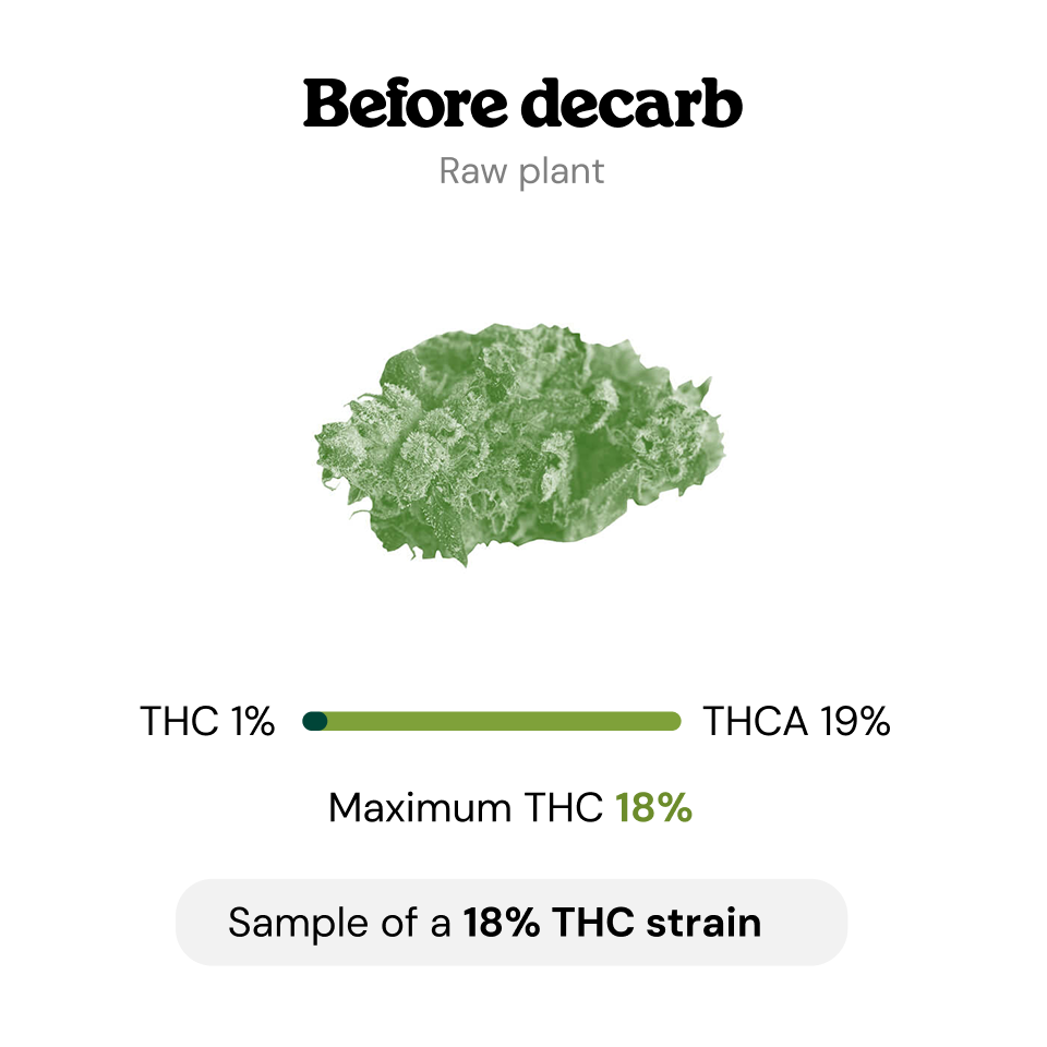 At What Temperature Does Decarboxylation Occur? At What Temperature Does Decarboxylation Occur?