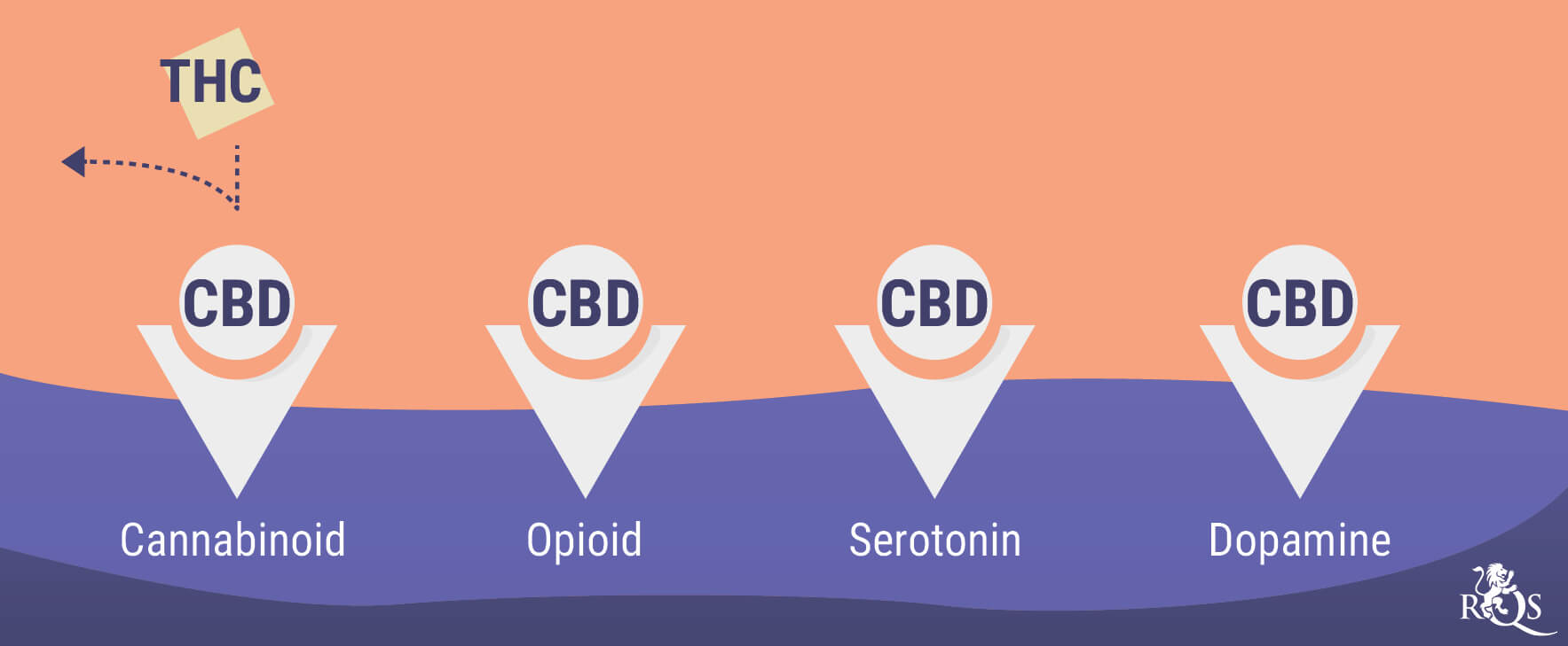 How Cannabis Interacts With Antidepressants