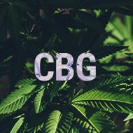 CBG