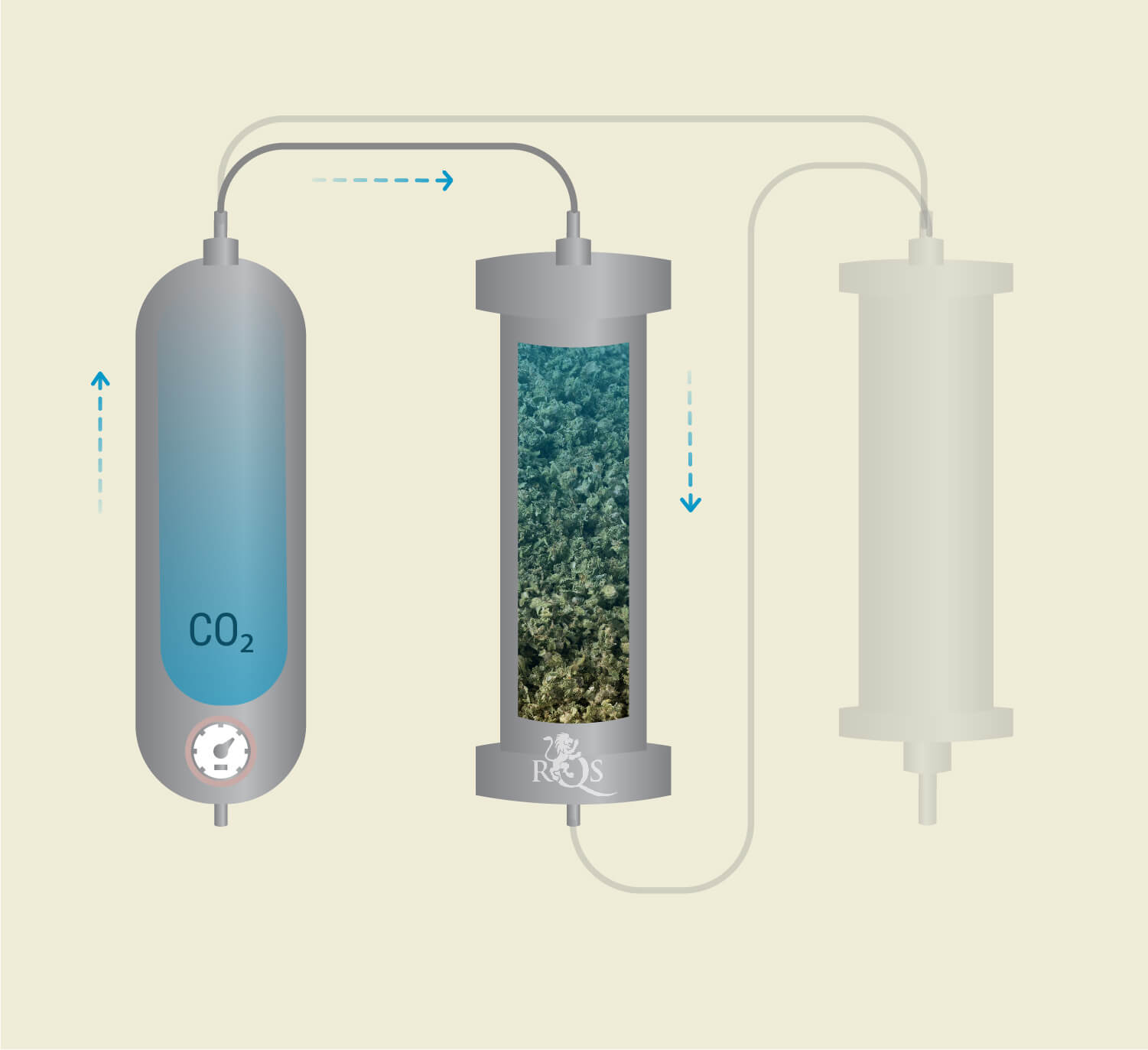CO₂ Extraction: Step-by-Step Process