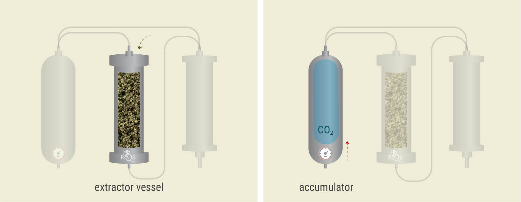 CO₂ Extraction: Step-by-Step Process