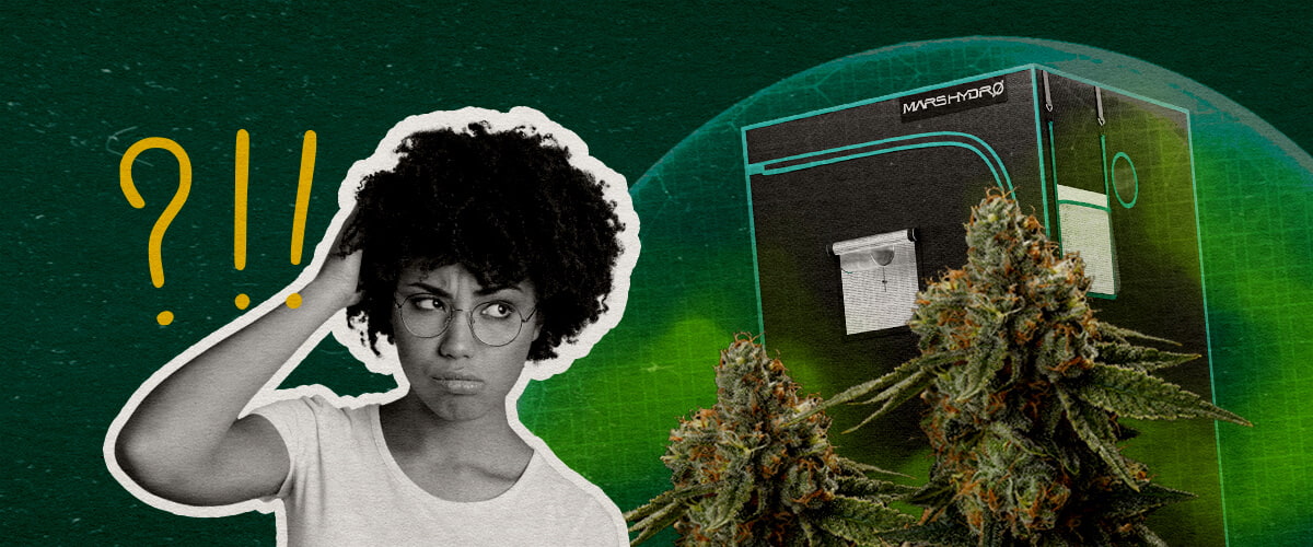 Final Thoughts Can a Grow Tent Be Truly Smell-Proof Cannabis An illustration of cannabis buds with a grow tent and a confused woman, set against a green background, pondering if a grow tent can be truly smell-proof.